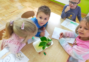 dzieci obserwują ślimak położonego na tacce i na liściu