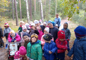 dzieci wchodzą do lasu