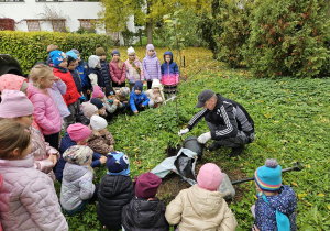 pan Krzysiu wyciąga jabłonkę z doniczki