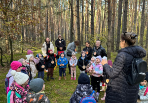 dzieci z rodzicami i nauczycielką stoją w kole i sprawdzają w jakim są lesie podnosząc głowy do góry