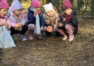 dziewczynki obserwują mrowisko i mrówki