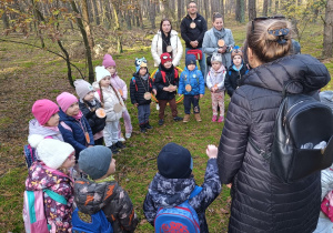 przedszkolaki oglądaja rodzaj lasu, w którym są