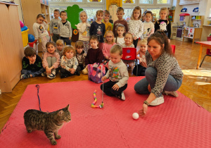 dzieci patrzą czy kotek pobiegnie za piłeczką