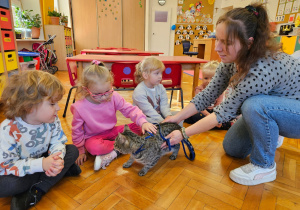 mama trzyma kota a dzieci głaszczą