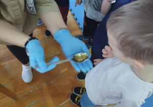 dzieci kosztują miód