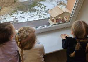dzieci patrzą na karmnik umieszczony na parapecie okna sali