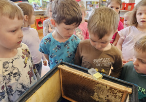 chłopcy oglądają pszczołę zamkiętą w pudełku