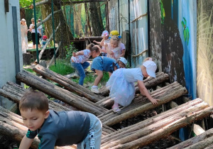 przedszkolaki pokonują przeszkody wykonane z drewnianych belek