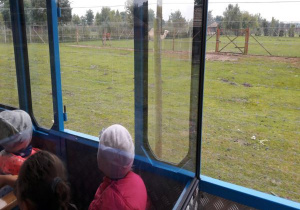 dzieci jada pociągiem i oglądają białego wielbłąda