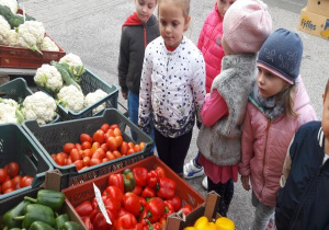 dzieci przyglądają się pomidorom, kalafiorom i paprykom w różnych kolorach