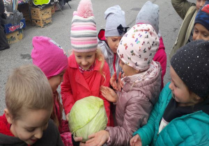dziewczynki trzymają głowę kapusty
