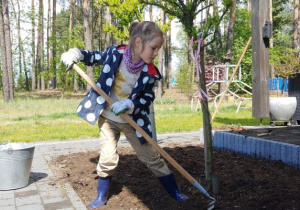 w ogrodzie dziewczynka w kaloszach i kurtce grabi ziemię obok drzewka