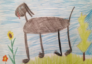 praca: brązowy pies na długich łapach idzie po łące, przed nim kwiaty a zanim mała choinka