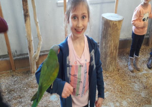 dziewczynka trzyma na ręce papugę