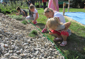 dziewczynki obserwują rośliny przez lupy na skalniaku