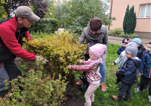 pan Krzysiu i pani Anitka wraz z dziewczynką i dziećmi z gr.II sadzą do dołka hrzew
