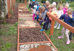 dzieci obserwują i doświadczają ścieżki edukacyjnej na terenie ogródka "Słoneczna Akademia"