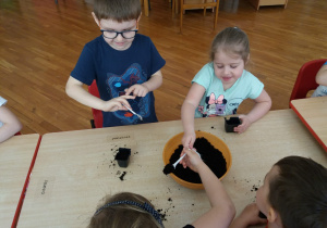 dzieci przy stolikach wsypują łyżeczkami ziemię do małych czarnych doniczek z dużej pomarańczowej miski
