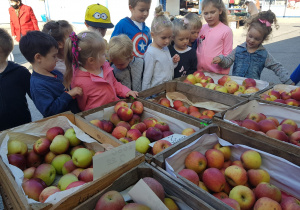 dzieci na wycieczce na targowisku przy skrzyniach z owocami
