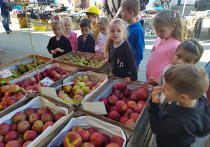 dzieci na wycieczce na targowisku przyglądają się jabłkom i gruszkom ułożonym w skrzyniach