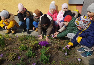 dzieci pod blokiem oglądają mały ogródek z kwitnącymi pierwszymi kwiatami