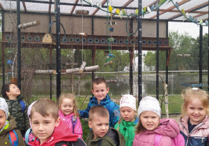 dzieci stoją przed klatką z papugami