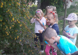 dzieci oglądają kwiaty na kwitnącym drzewie