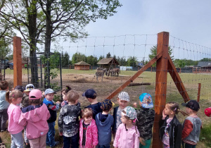 dzieci stoją przed zagrodą z zebrami