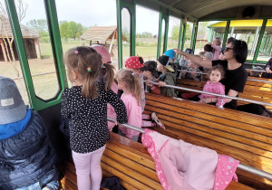 przedszkolaki jadą pociągiem i oglądają zwierzęta