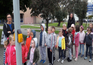 dzieci stoją przed przejściem dla pieszych z nauczycielkami i czekają na światło zielone