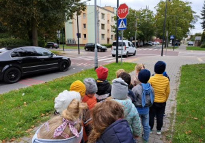 przedszkolaki obserwują znaki drogowe oraz zachowanie kierowców przed skrzyżowaniem
