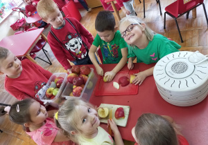 przedszkolaki kroją jabłka na kawałki do suszenia