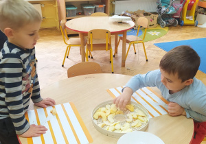 chłopcy układają pokrojone jabłka w plastry na sitku suszarki do owoców