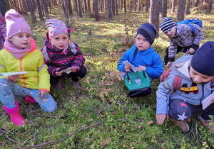 w lesie - dzieci oglądają mech i krzaki jagodowe