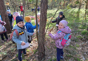 w lesie - leśna orkiestra - dzieci grają na patykach uderzając nimi o siebie lub o drzewa