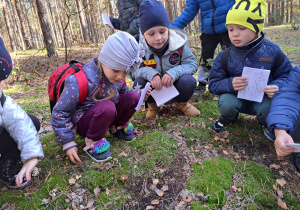 w lesie - przedszkolaki oglądają znalezionego grzybka