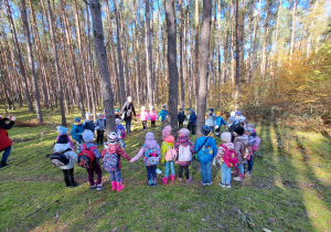 w lesie - dzieci stoją w kole z nauczycielką a w jego środku znajdują się trzy drzewa