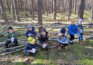 w lesie - chłopcy siedzą na brzozowych gałązkach zwalonego drzewa