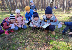 w lesie - dzieci oglądają wrzosy