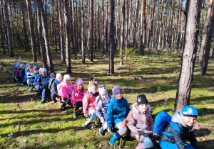 w lesie - dzieci z grupy VIII siedzą na pniu drzewa jeden za drugim