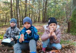 w lesie - przedszkolaki siedzą na leżącym na ziemi konarze drzewa i jedzą