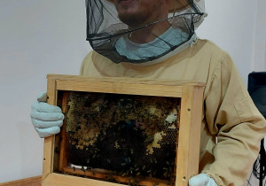 pszczelarz ubrany w kapelusz z siatką trzyma okienko z pszczołami