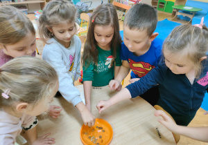 przedszkolaki wrzucają monety do talerzyka z wodą