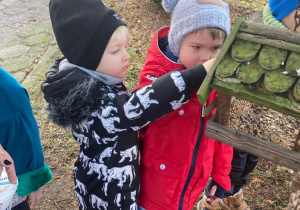 chłopcy wsypują ziarenka do karmnika dla ptaków