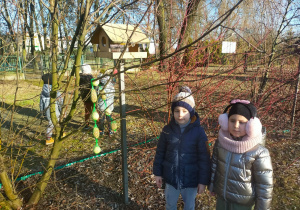 dzieci stoją przy karmniku dla ptaków umieszczonym wśród drzew w ogrodzie przedszkolnym