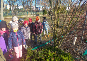 dzieci stoją przy drzewach i krzewach z zawieszoną na gałęziach karmą dla ptaków