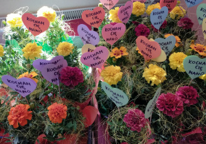 goździki w doniczkach z karteczkąw kształcie serduszka i napisem "kocham cię mamo"