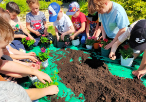 przedszkolaki w ogrodzie sypią ziemię do doniczek z kwiatami