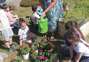 nauczycielka z dziećmi podlewa posadzone kwiatki w doniczkach