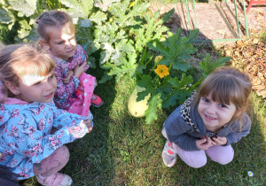 dziewczynki siedzą obok rosnącego kabaczka